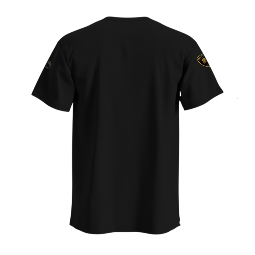 Establiss lamborghini Aventador T-shirt