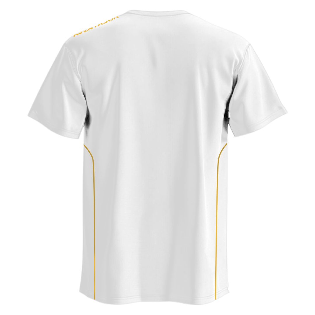 Lamborghini Aventador T-shirt